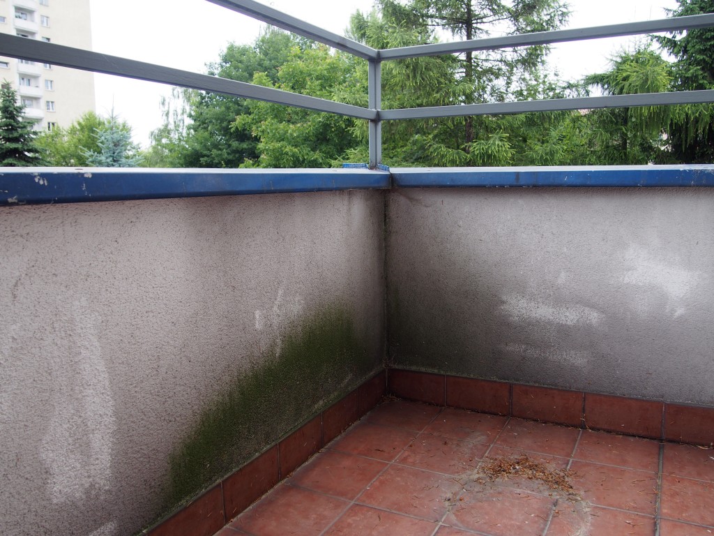 PRZED: Trochę mi wstyd, ale tak właśnie to wyglądało