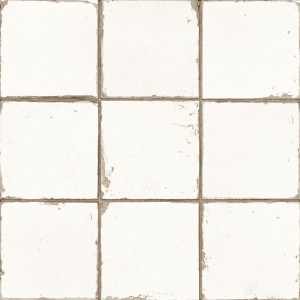 13621_FS MANISES-B